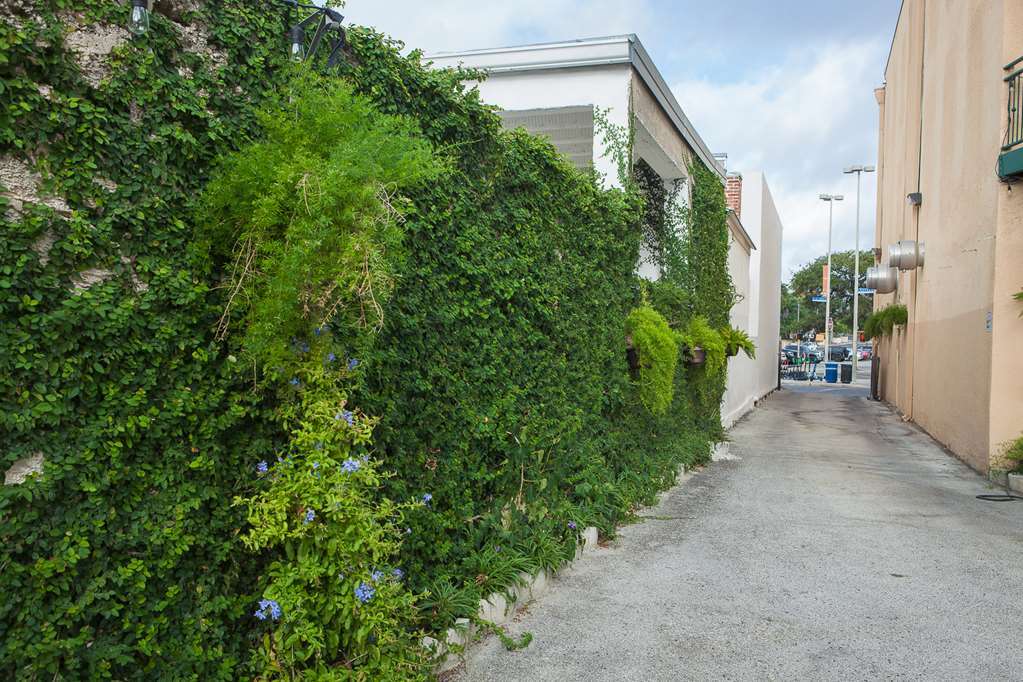 O'Brien Riverwalk Boutique Hotel San Antonio Luaran gambar